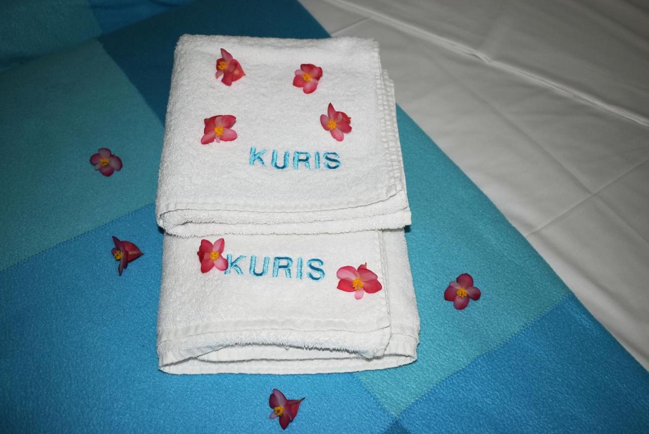 Kuris Studios & Apartments Vasilikí 외부 사진