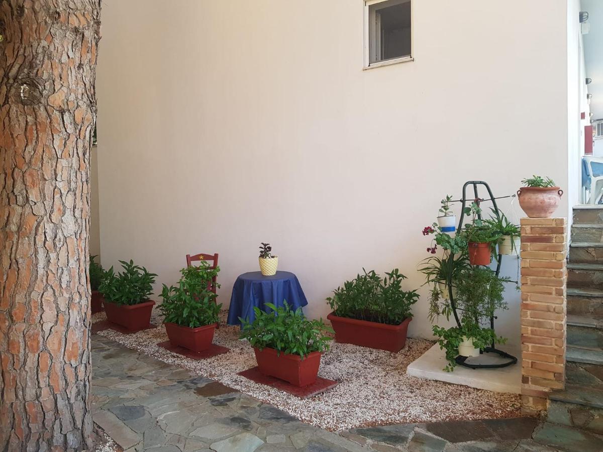 Kuris Studios & Apartments Vasilikí 외부 사진